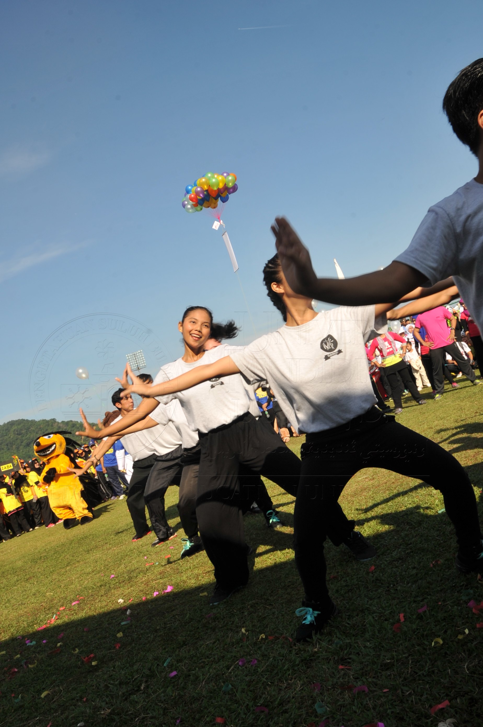 PRO 15 53 KIESTA HAS 3872